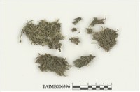 藏品(護蒴蘚屬 )的圖片